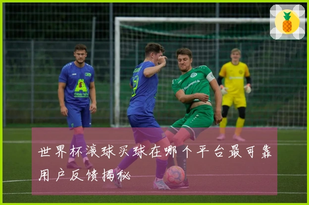 世界杯滚球买球在哪个平台最可靠用户反馈揭秘