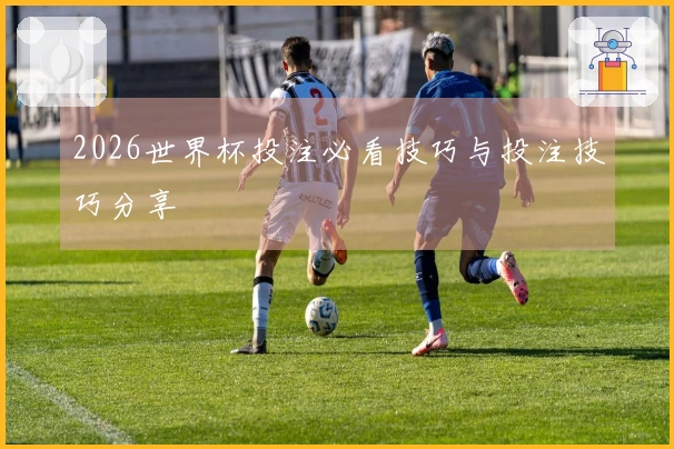 2026世界杯投注必看技巧与投注技巧分享