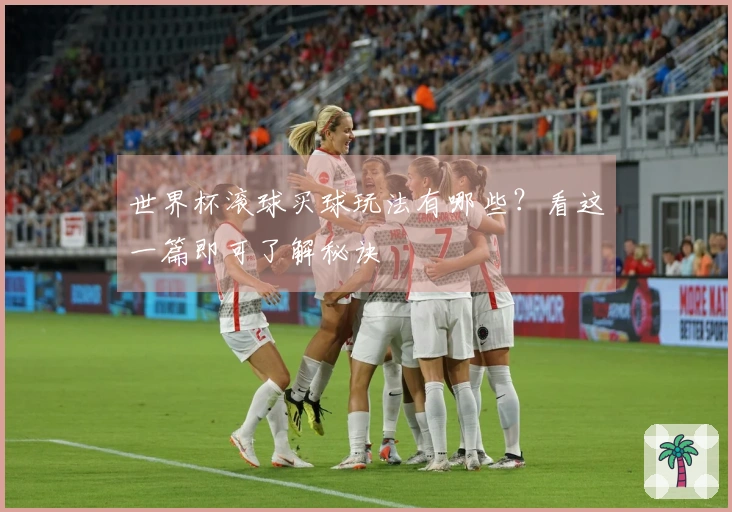 世界杯滚球买球玩法有哪些？看这一篇即可了解秘诀