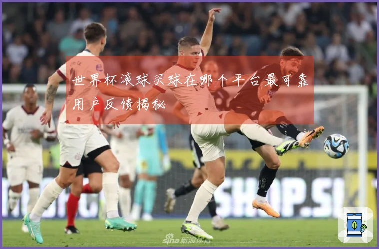 世界杯滚球买球在哪个平台最可靠用户反馈揭秘