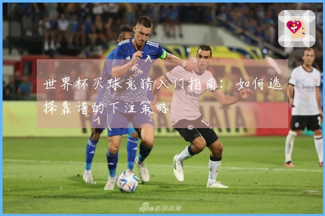 世界杯买球竞猜入门指南：如何选择靠谱的下注策略
